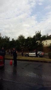 12064410_1201032343246087_1457322991_n