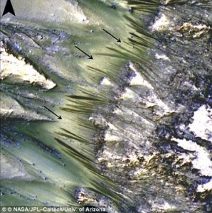 12074553_1050791998287634_5160118814015200715_n