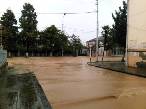 10297668_878051975582574_7242787232690910369_n