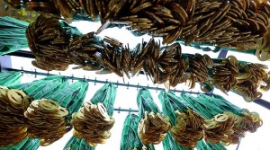 11987092_1189145764435355_8674528490675972802_n