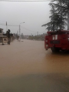 12049400_878051998915905_8499407528694345932_n