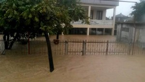 12064431_414155815457274_785407469_n