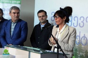 12065648_941738665883104_1425223868195879369_n