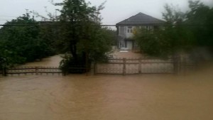 12074731_878052015582570_786410816209677987_n