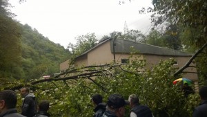 12077470_969912043052675_1076951349_n