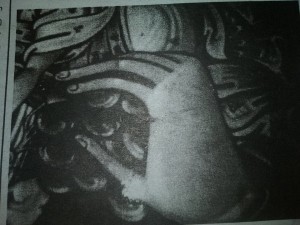 12080895_413595078846681_1835796759_n