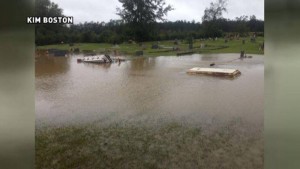 12087354_10204732143695085_2035174234_n