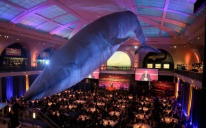 12118702_925883897502687_7451814208357109444_n