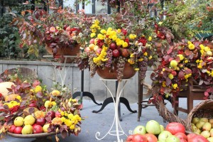 12165874_425047067690684_562657753_n