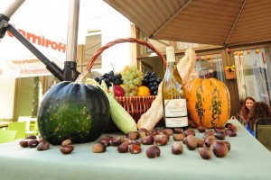 12166034_425047057690685_953306770_n