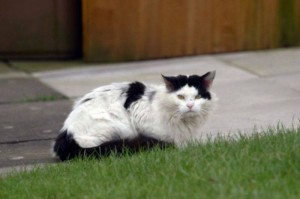 12166747_10204766833002296_41146917_n