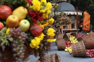 12167233_425047241024000_825882559_n