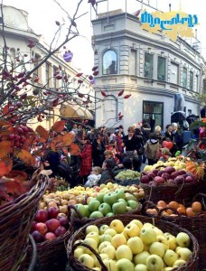 12167567_425047731023951_978024382_n (1)