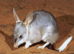 12167595_10204766833602311_825469743_n