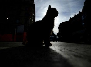 12168094_10204766832962295_1210448747_n