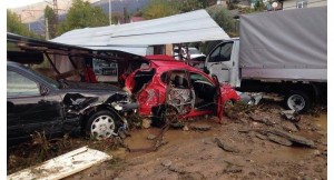 12190462_10204831048647647_916196974_o