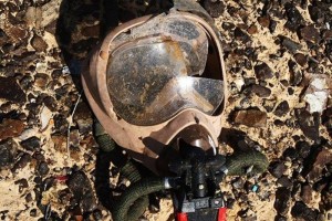 12200966_10204849915959318_828990128_n