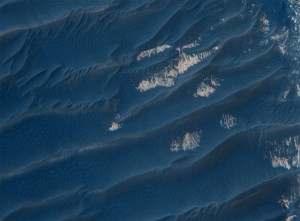 12212368_10204871503218986_1023243232_n