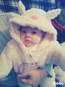 12226420_1680021922213160_511603167_n