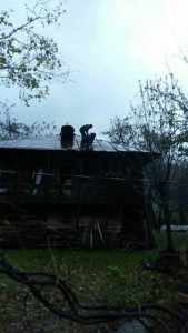 12226544_421735034699352_814528596_n