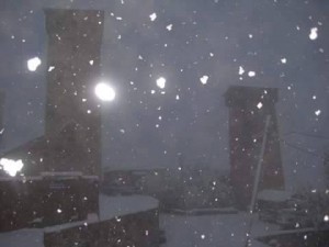 12226639_421691701370352_26619331_n