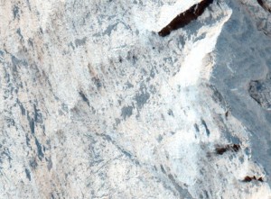 12231669_10204871503138984_310503084_n