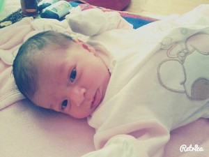 12233335_1680021928879826_1633434279_n