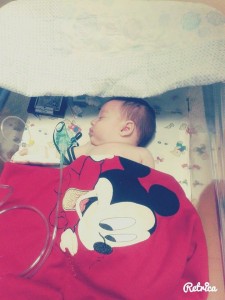 12233354_1680021925546493_185082523_n