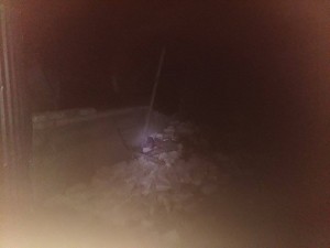 12233420_1046398062068124_676942147_n