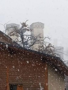 12233522_421691471370375_625788036_n