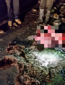 12241655_1367968306550917_8949313524818027146_n