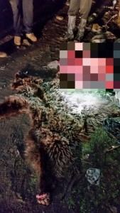 12243157_1367968276550920_4843695756768867045_n