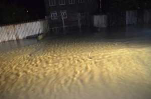 12243371_997779443601274_5487704958776022278_n