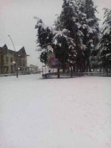 12243718_421691464703709_26238211_n