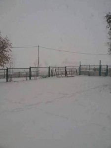 12243823_421691461370376_169464674_n