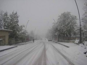 12244204_421691458037043_967084324_n