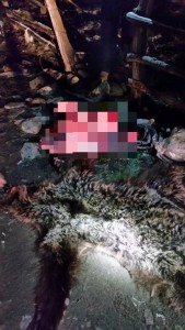 12274335_1367968273217587_7830308367589486908_n