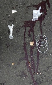 2E6FB4DF00000578-3317776-image-a-52_1447502034094