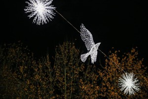 11204973_1219321351417796_6721580004574280223_n