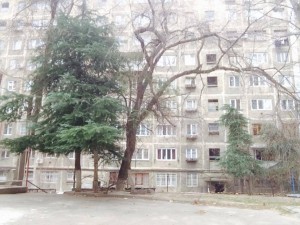 12348055_1239797766036211_271427539531068797_n