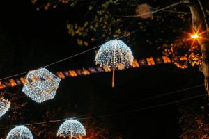 12375975_1219320934751171_8640540999916974575_n