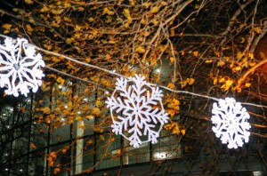 12376076_1219321131417818_8913918831642189082_n