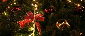 12391393_1221787171171214_7326510563486903934_n