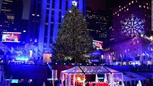 12438855_10205077922579341_1574436395_o