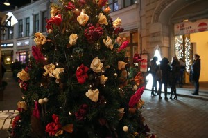 384367_1224874464195818_6026224093886356099_n