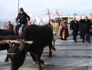 12400780_524204724414472_6711019209351085982_n