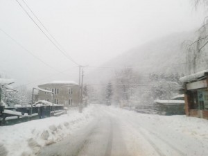 12439008_972247322849369_6744483283614902437_n