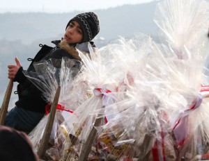 12494805_524204587747819_4065583851158610800_n