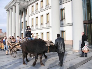 12509816_524204391081172_2615028042277428169_n