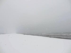 12512316_905023772911502_2921441219522298031_n